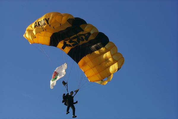 Army Sky Divers