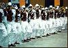 Stampede Showband