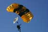 Army Sky Divers